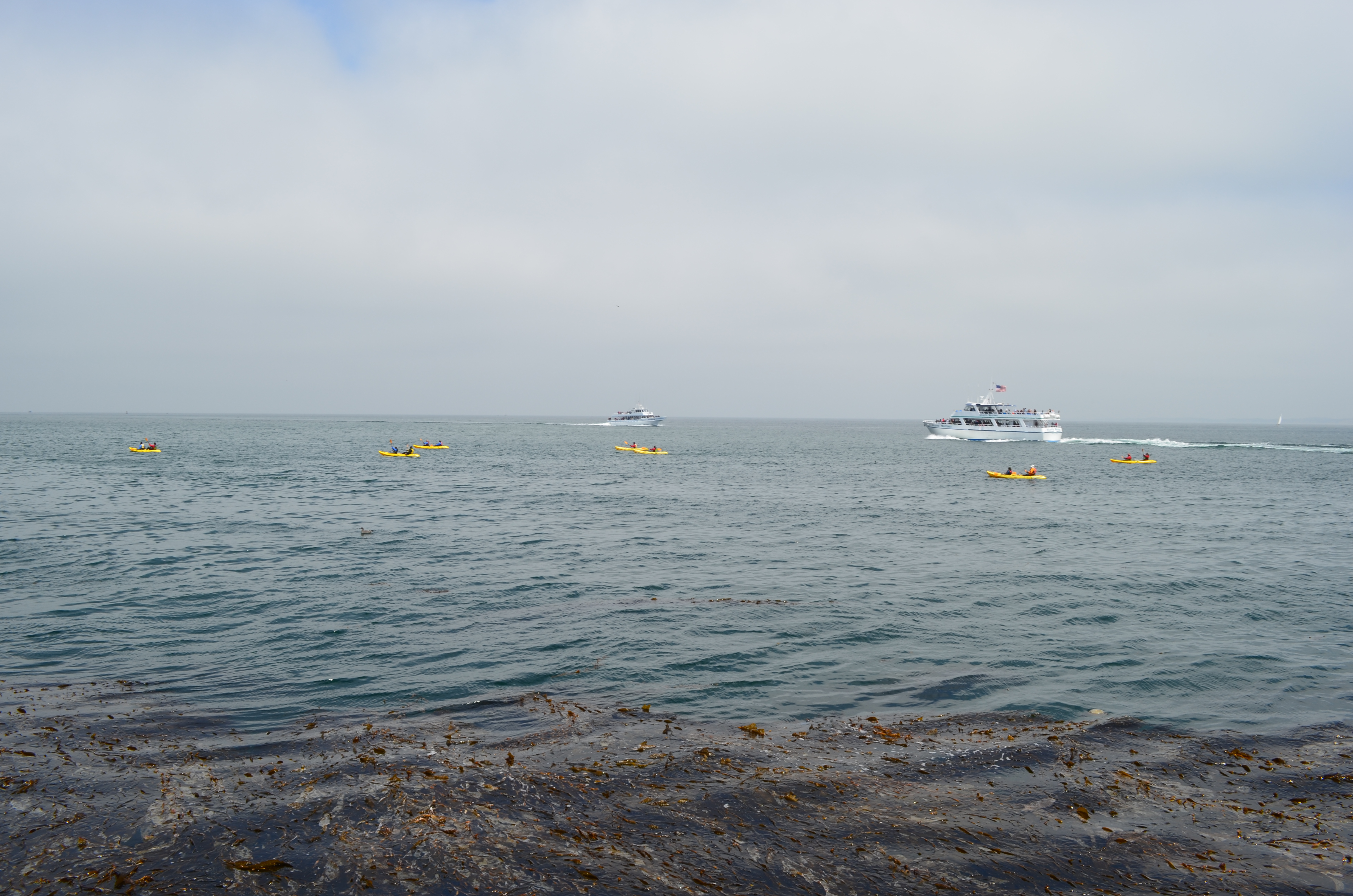 ./2018/09 - San Francisco/ASC_0612.JPG